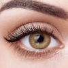 Haipurecon Secret dark brown 14.0mm contact lenses