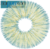 Haipurecon Angeles N Blue 14.2mm 0.08mm Thickness Yearly Disposable Contact Lenses