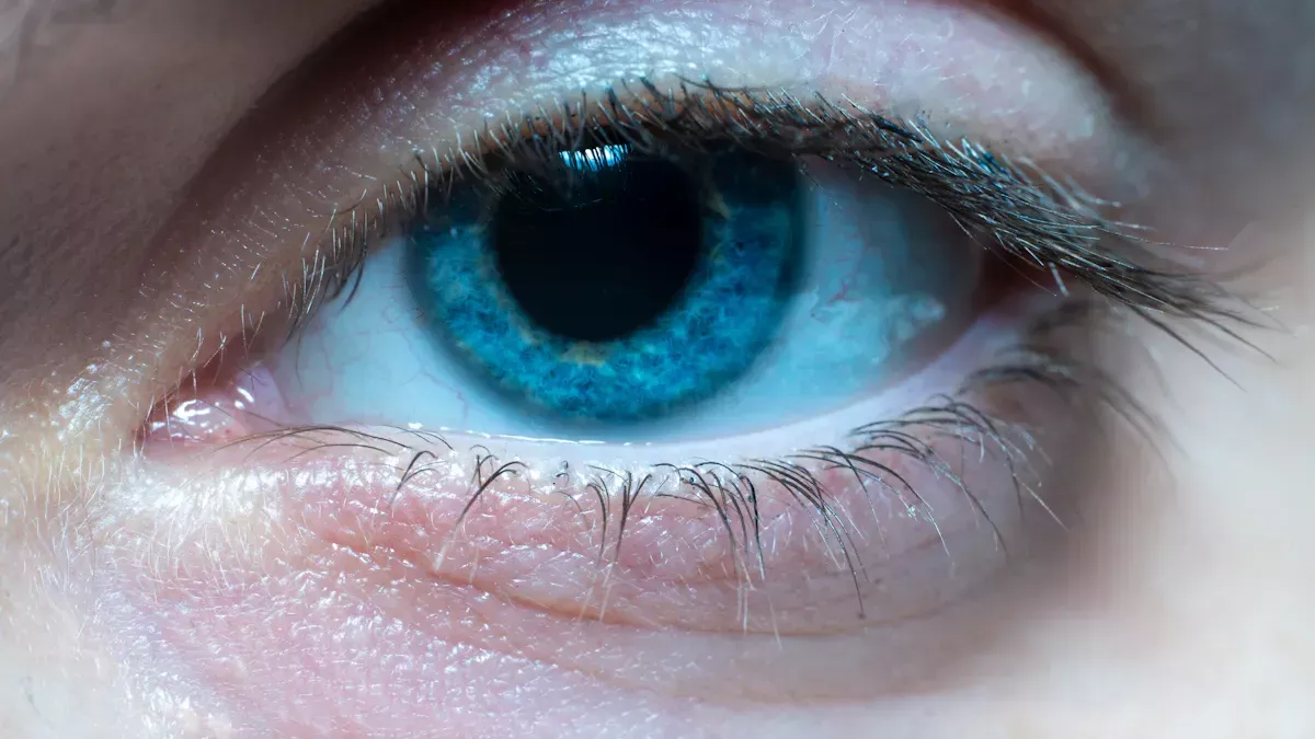 Trending Colored Contact Lens Styles