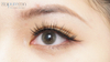 Haipurecon peggy grey 14.0mm contact lenses
