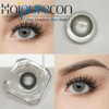 Haipurecon Mech Graphite 14.5mm Soft Yearly Disposable Contact Lenses 40 Percent Water Content