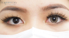 Haipurecon Cyan Brown 14.0mm contact lens with power