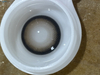 Haipurecon Frost Amber 14.5mm Daily Disposable Contact Lenses New Arrival Wholesale
