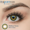 Haipurecon Puffstar Green 14.2mm Natural Sparkle Contact Lenses 8.6mm BC 40% Water Yearly CE ISO Fresh Eye Beauty Factory