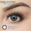 Haipurecon Northern Grey 14.5mm K-Beauty Daily Disposable Contact Lenses 10 Pieces New Arrival